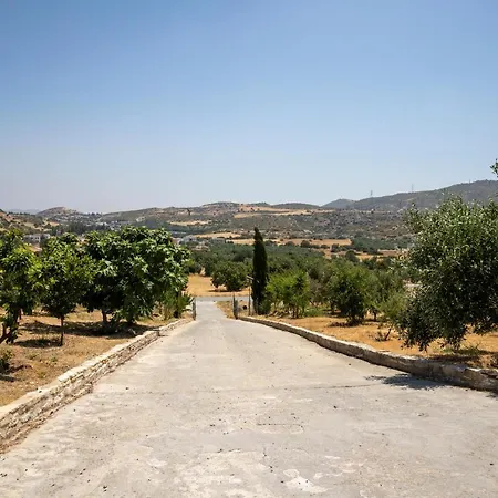 Savv Holiday Villa Larnaca